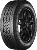 Pneumatico DUNLOP 225/55 R17 109T ECONODRIVE WINTER M+S C XL