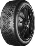 Pneumatico DUNLOP 255/45 R20 105V WINTER M+S FR XL
